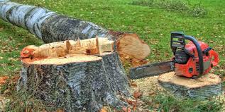 Best Stump Grinding and Removal  in Utica, OH